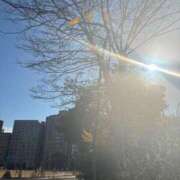 ヒメ日記 2025/12/11 12:24 投稿 りい なでし娘