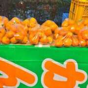 ヒメ日記 2025/12/26 09:13 投稿 りい なでし娘