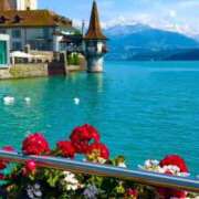 ヒメ日記 2026/01/06 20:01 投稿 りい なでし娘