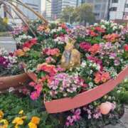 ヒメ日記 2026/02/07 09:19 投稿 りい なでし娘