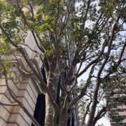 ヒメ日記 2026/02/24 08:55 投稿 りい なでし娘