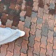 りい 🥚 なでし娘