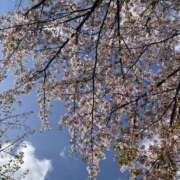 ヒメ日記 2026/04/12 20:31 投稿 りい なでし娘