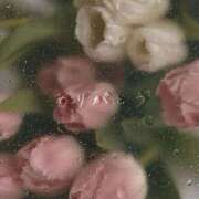 ヒメ日記 2025/11/09 20:15 投稿 しほ Felice(フェリス)