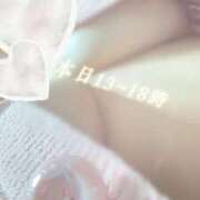 ヒメ日記 2025/11/22 07:52 投稿 しほ Felice(フェリス)