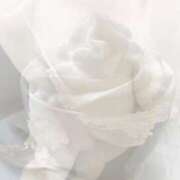 しほ 出勤してます♡ Felice(フェリス)