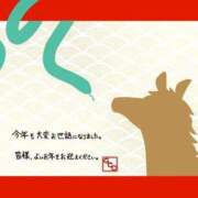 ヒメ日記 2025/12/31 20:58 投稿 しほ Felice(フェリス)