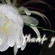 しほ 退勤しました♡ Felice(フェリス)