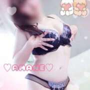 ヒメ日記 2025/09/09 18:25 投稿 天音(あまね) 可憐な妻たち 太田店