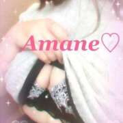 ヒメ日記 2025/10/06 15:52 投稿 天音(あまね) 可憐な妻たち 太田店