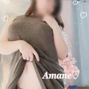 ヒメ日記 2025/11/10 06:07 投稿 天音(あまね) 可憐な妻たち 太田店