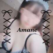 ヒメ日記 2025/11/26 12:01 投稿 天音(あまね) 可憐な妻たち 太田店