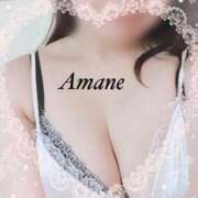 ヒメ日記 2025/12/14 12:16 投稿 天音(あまね) 可憐な妻たち 太田店