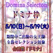 ヒメ日記 2026/05/10 09:42 投稿 神楽女王様 クラブドミナ