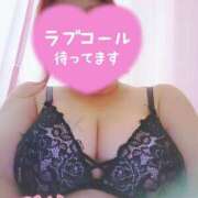 ヒメ日記 2025/11/14 17:03 投稿 ちい ちゃんこ千葉東金店