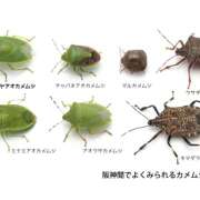 ヒメ日記 2025/09/17 20:48 投稿 東山かのん 五十路マダム姫路店