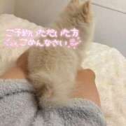 ヒメ日記 2025/10/21 12:04 投稿 まや アラカルト