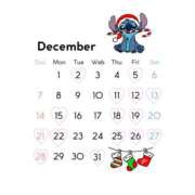 ヒメ日記 2025/12/03 18:30 投稿 まや アラカルト