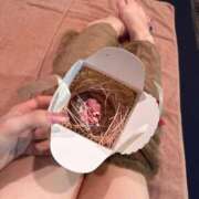 ヒメ日記 2026/02/14 08:15 投稿 まや アラカルト