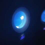 ヒメ日記 2025/09/20 15:35 投稿 みおん 錦糸町人妻セレブリティ（ユメオト）