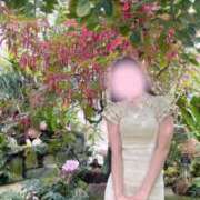 ヒメ日記 2025/09/24 18:24 投稿 -新人-せりな ご近所物語