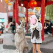 ヒメ日記 2025/11/02 12:31 投稿 -新人-せりな ご近所物語