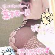 ヒメ日記 2025/09/12 13:47 投稿 レン(奥方) 奥様幕府