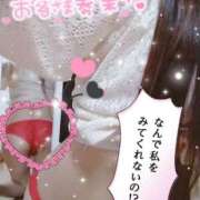 ヒメ日記 2025/09/13 02:17 投稿 レン(奥方) 奥様幕府