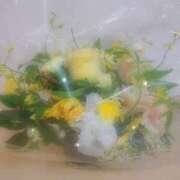 ヒメ日記 2025/11/04 19:50 投稿 高谷りの PLAY