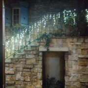 ヒメ日記 2025/11/18 08:01 投稿 高谷りの PLAY