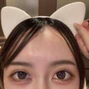 ヒメ日記 2025/11/28 06:00 投稿 さくら キューティーハニー