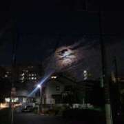 ヒメ日記 2025/11/07 22:02 投稿 山口あやか PLAY