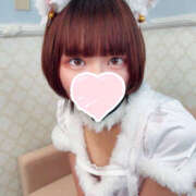 ヒメ日記 2025/10/05 12:27 投稿 つき 上野ハンドメイド