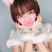 ヒメ日記 2025/10/08 15:49 投稿 つき 上野ハンドメイド