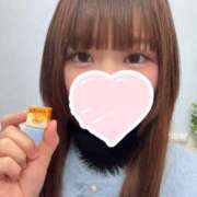 ヒメ日記 2025/11/17 16:04 投稿 つき 上野ハンドメイド