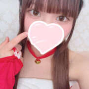 ヒメ日記 2025/12/15 12:00 投稿 つき 上野ハンドメイド