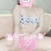 ヒメ日記 2026/02/19 13:11 投稿 シノ 【福岡デリヘル】20代・30代★博多で評判のお店はココです！