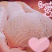 ヒメ日記 2026/03/06 15:12 投稿 シノ 【福岡デリヘル】20代・30代★博多で評判のお店はココです！