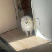 ばぶみ はじめまして🎀 日本橋・谷九サンキュー