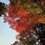 ヒメ日記 2025/12/10 21:00 投稿 ミレイ 厚木オイルリンパ性感　厚木メンズエステm