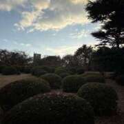 ヒメ日記 2025/12/19 22:00 投稿 ミレイ 厚木オイルリンパ性感　厚木メンズエステm