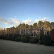 ヒメ日記 2026/01/24 11:00 投稿 ミレイ 厚木オイルリンパ性感　厚木メンズエステm