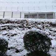 ヒメ日記 2026/02/14 14:00 投稿 ミレイ 厚木オイルリンパ性感　厚木メンズエステm