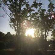 ヒメ日記 2026/03/14 15:00 投稿 ミレイ 厚木オイルリンパ性感　厚木メンズエステm