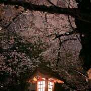 ヒメ日記 2026/04/02 18:00 投稿 ミレイ 厚木オイルリンパ性感　厚木メンズエステm