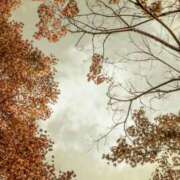 ヒメ日記 2025/10/14 18:23 投稿 ようこ 人妻倶楽部　ひまわり