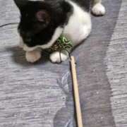 ヒメ日記 2025/10/19 23:02 投稿 ようこ 人妻倶楽部　ひまわり