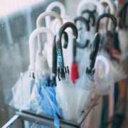 ヒメ日記 2025/10/22 14:28 投稿 ようこ 人妻倶楽部　ひまわり