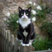 ヒメ日記 2025/10/23 02:27 投稿 ようこ 人妻倶楽部　ひまわり