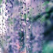 ヒメ日記 2025/10/26 17:57 投稿 ようこ 人妻倶楽部　ひまわり